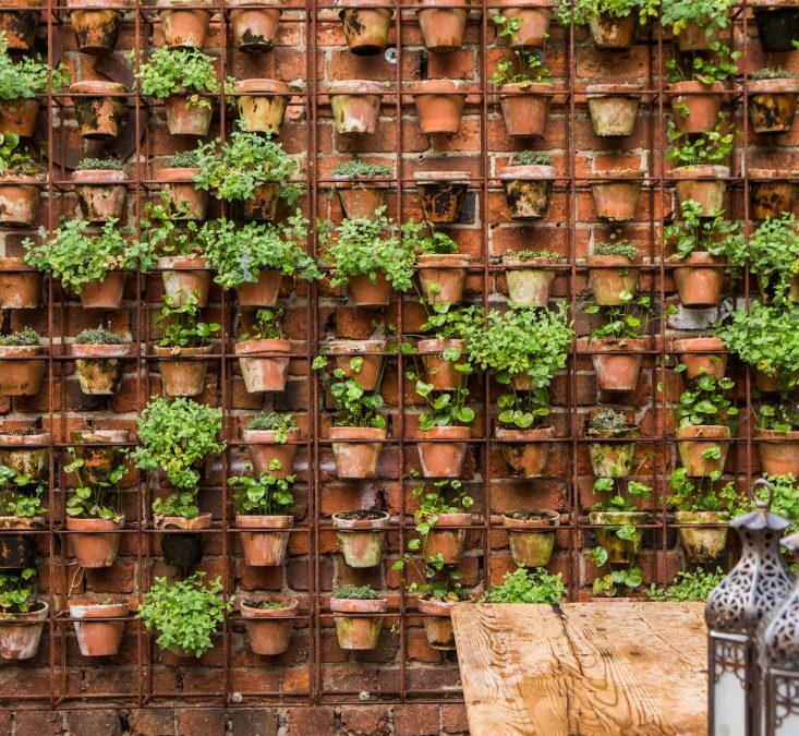 Απίθανος Κάθετος Κήπος με Terra Cotta Γλάστρες