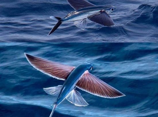 Η ομορφιά της φύσης