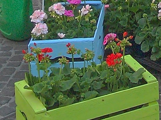 Μερικές όμορφες ιδέες για να διακοσμήσετε τον κήπο σας