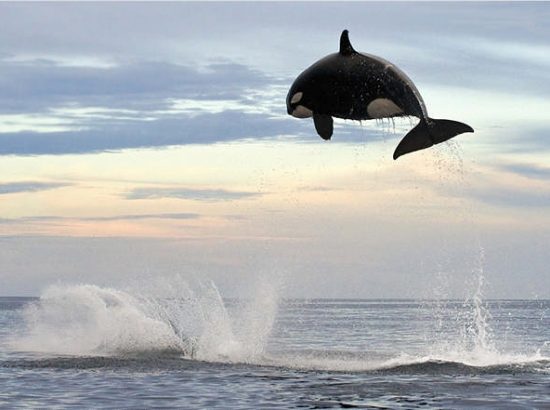 23 φωτογραφίες που θα σας κάνουν να πείτε Ουάου