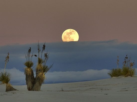 Τοπία της νοτιοδυτικής Αμερικής