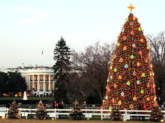 Τα πιο όμορφα χριστουγεννιάτικα δέντρα στον κόσμο