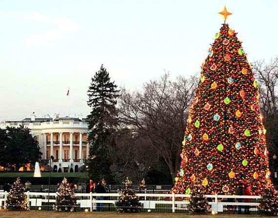 Τα πιο όμορφα χριστουγεννιάτικα δέντρα στον κόσμο