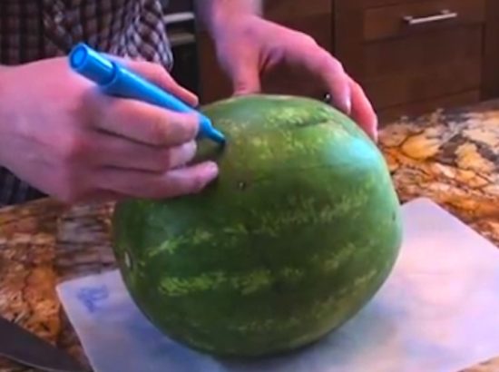 Καταπληκτικά μαθήματα Ξυλογλυπτικής σε Καρπούζι (Καρχαρίας και σκαντζόχοιρος)