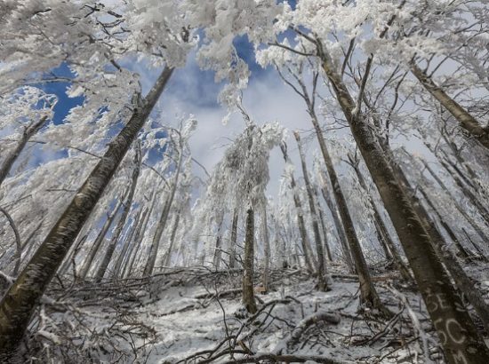 Όταν η φύση δημιουργεί … παραμύθια