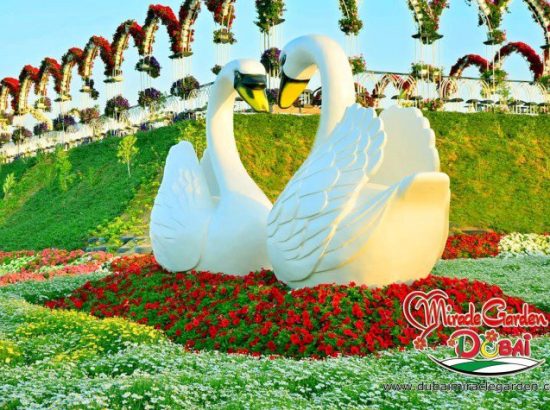 Dubai …Ο θαυμαστός κήπος του