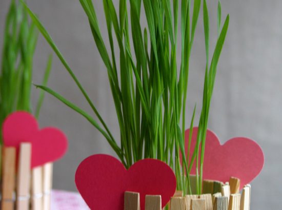 Πρωτότυπες ιδέες με μανταλάκια