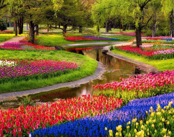 Ο κήπος Keukenhof της Ολλανδίας