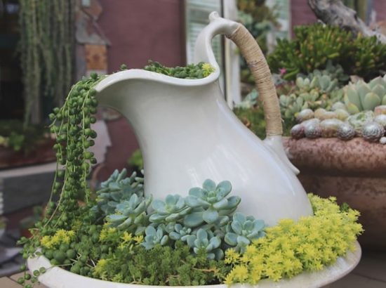 Ιδέες για να μετατραπεί ο κήπος σας σε  ένα ρεύμα από χρώματα