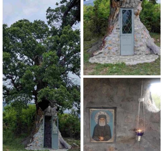 Εκκλησάκι 300 ετών στην Κόνιτσα μέσα σε δέντρο