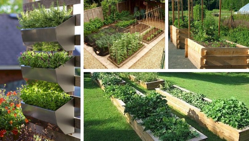 25 Έξυπνες DIY ιδέες για λαχανόκηπους σε μικρούς χώρους – σχεδιασμός για αρχάριους