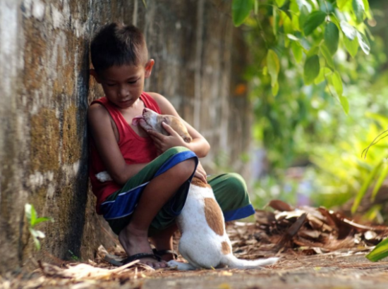 Δικαίωμά σου να μη συμπαθείς τα ζώα, υποχρέωσή σου όμως να τα σέβεσαι