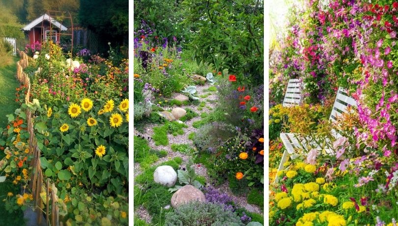 22 Πανέμορφες ιδέες για ένα κήπο με πολύχρωμα λουλούδια