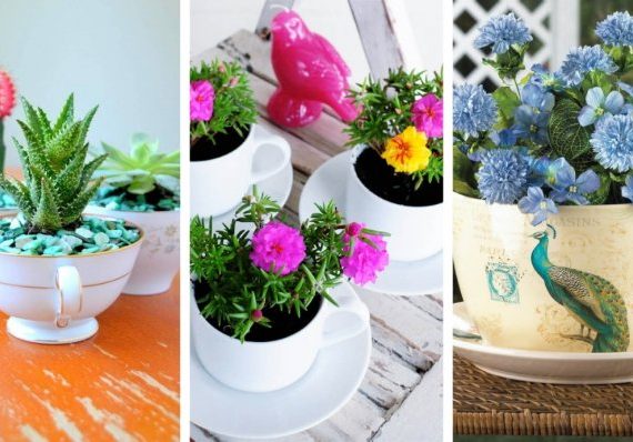 32 υπέροχες ιδέες μίνι κήπου σε φλυτζάνια τσαγιού για να προσθέσετε την ευδαιμονία στο σπίτι σας
