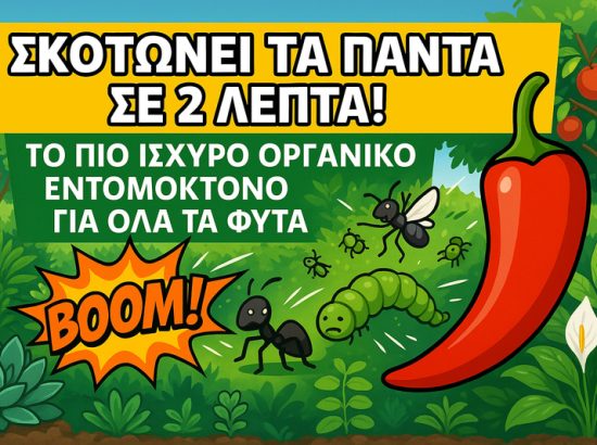 Σκοτώνει τα Πάντα σε 2 Λεπτά! Το Πιο Ισχυρό Οργανικό Εντομοκτόνο για Όλα τα Φυτά